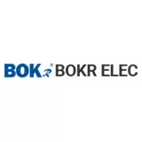 Bokong Electric Co., Ltd